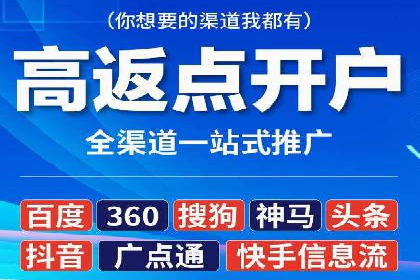 不同平台的SEM广告投放比较及成功案例分析